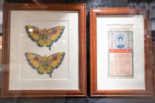 余文樂攜潮流文創登陸江城，武漢文藝青年集結號已吹響