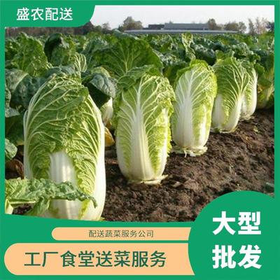 東莞蔬菜配送服務 打通新鮮蔬菜批發直供的“最后一公里”