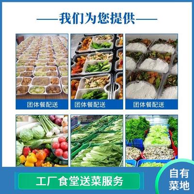 東莞蔬菜配送服務 高效、新鮮、批發的專業解決方案